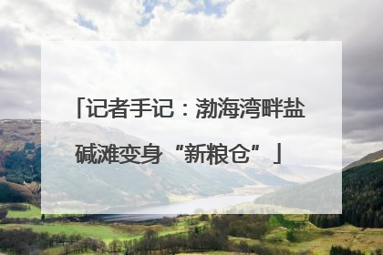 记者手记：渤海湾畔盐碱滩变身“新粮仓”